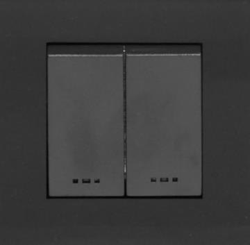 2-gang mechanical switch